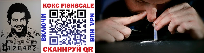 закладки  Заволжск  shop официальный сайт  Кокаин FishScale 
